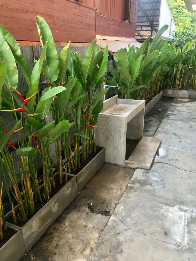 Cozy By Funwahn Bed and Breakfast Chiang Mai Exteriör bild